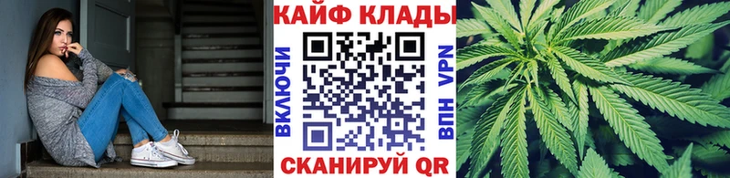 Хочу наркоту Тайшет Галлюциногенные грибы  ссылка на мегу как зайти  Меф мяу мяу  NBOMe  Каннабис  А ПВП 