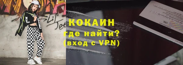 сатива Аркадак