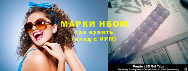 сатива Аркадак