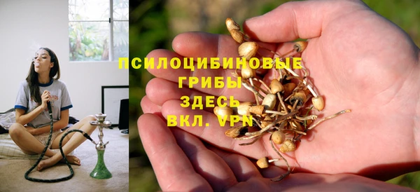 сатива Аркадак